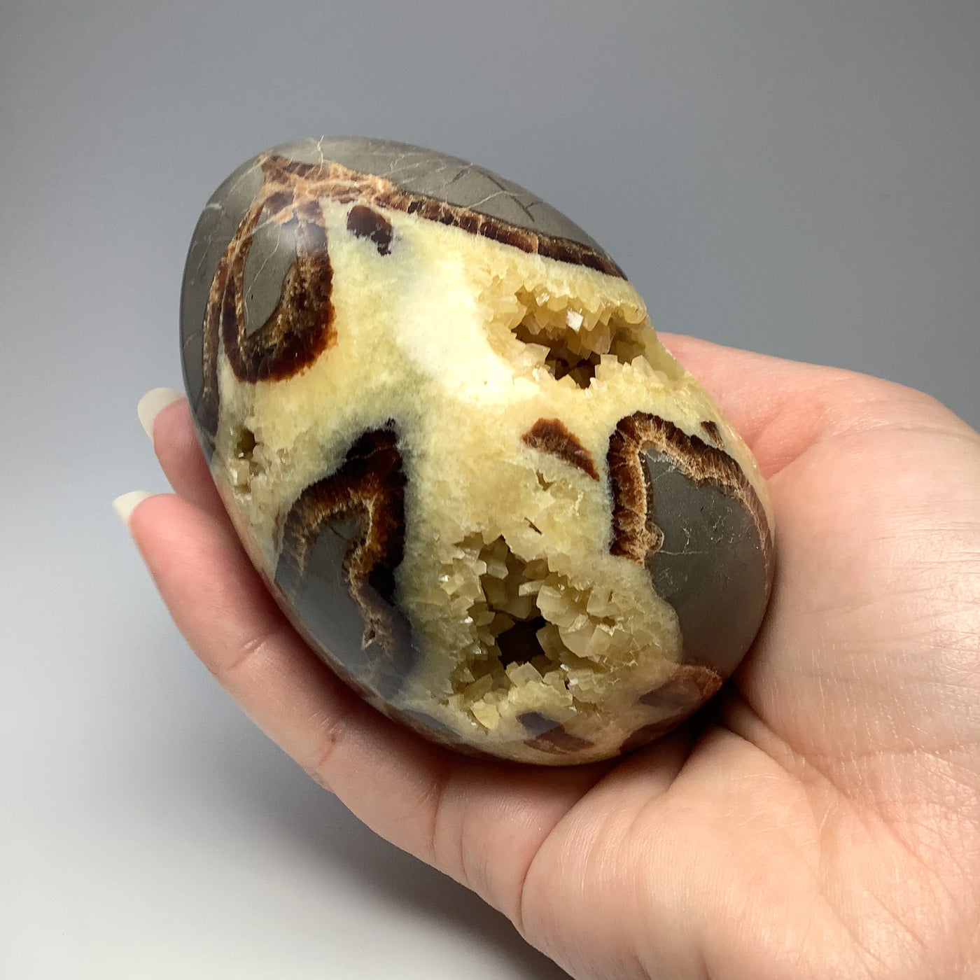 Septarian Egg Carving