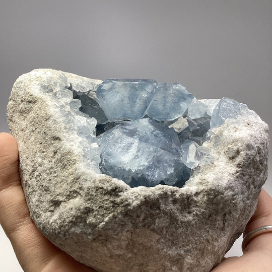 Celestite Geode - Rocks and Gems Canada