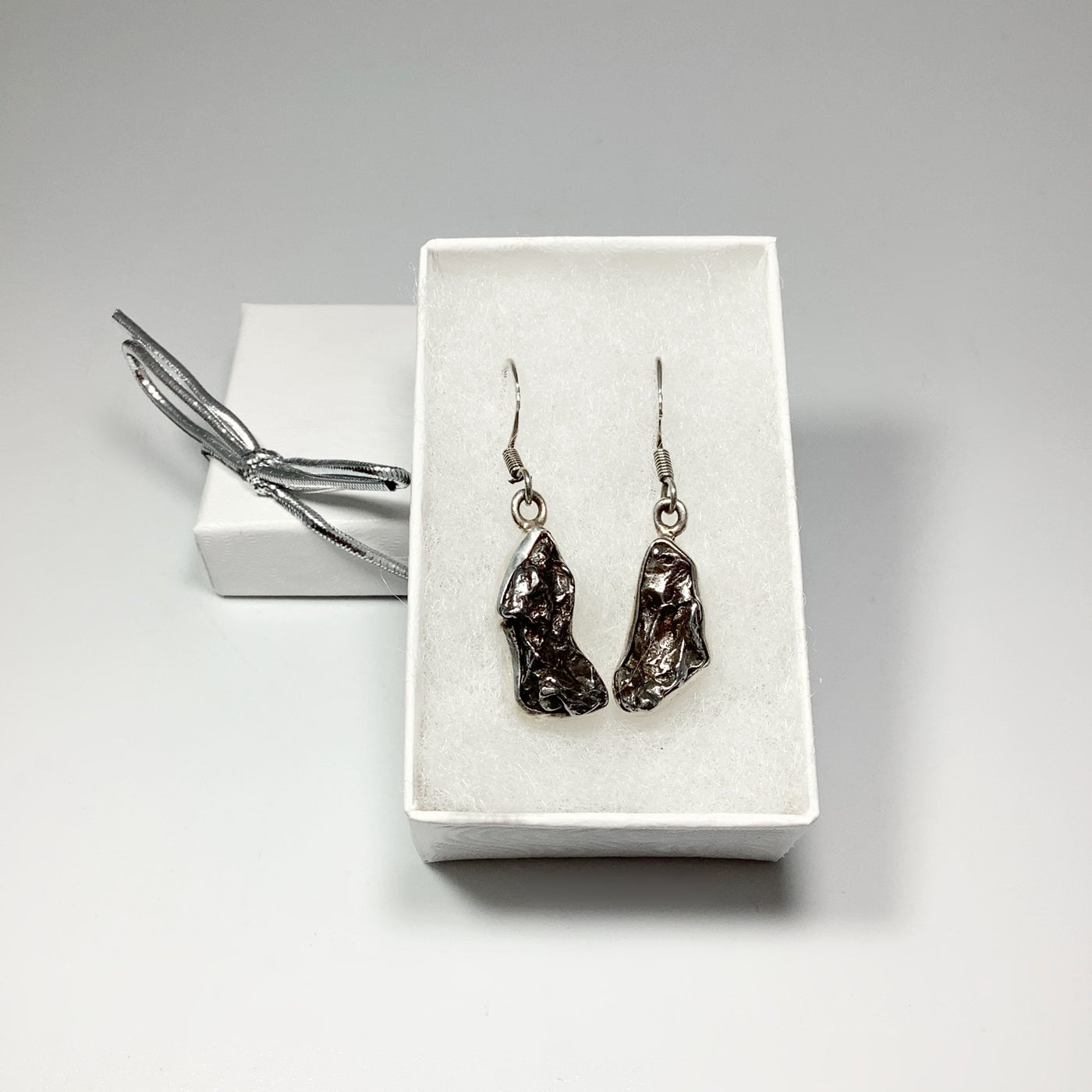 Campo Del Cielo Meteorite Dangle Earrings