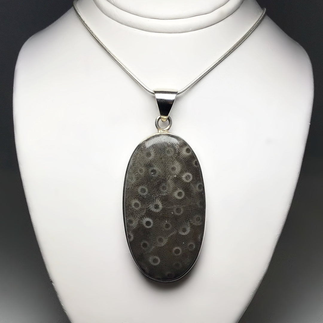 Fossilized Coral Pendant - Rocks and Gems Canada
