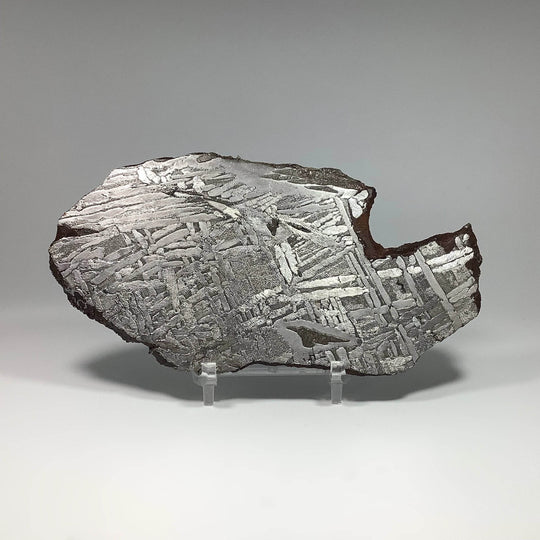 Seymchan Meteorite Slice - Rocks and Gems Canada