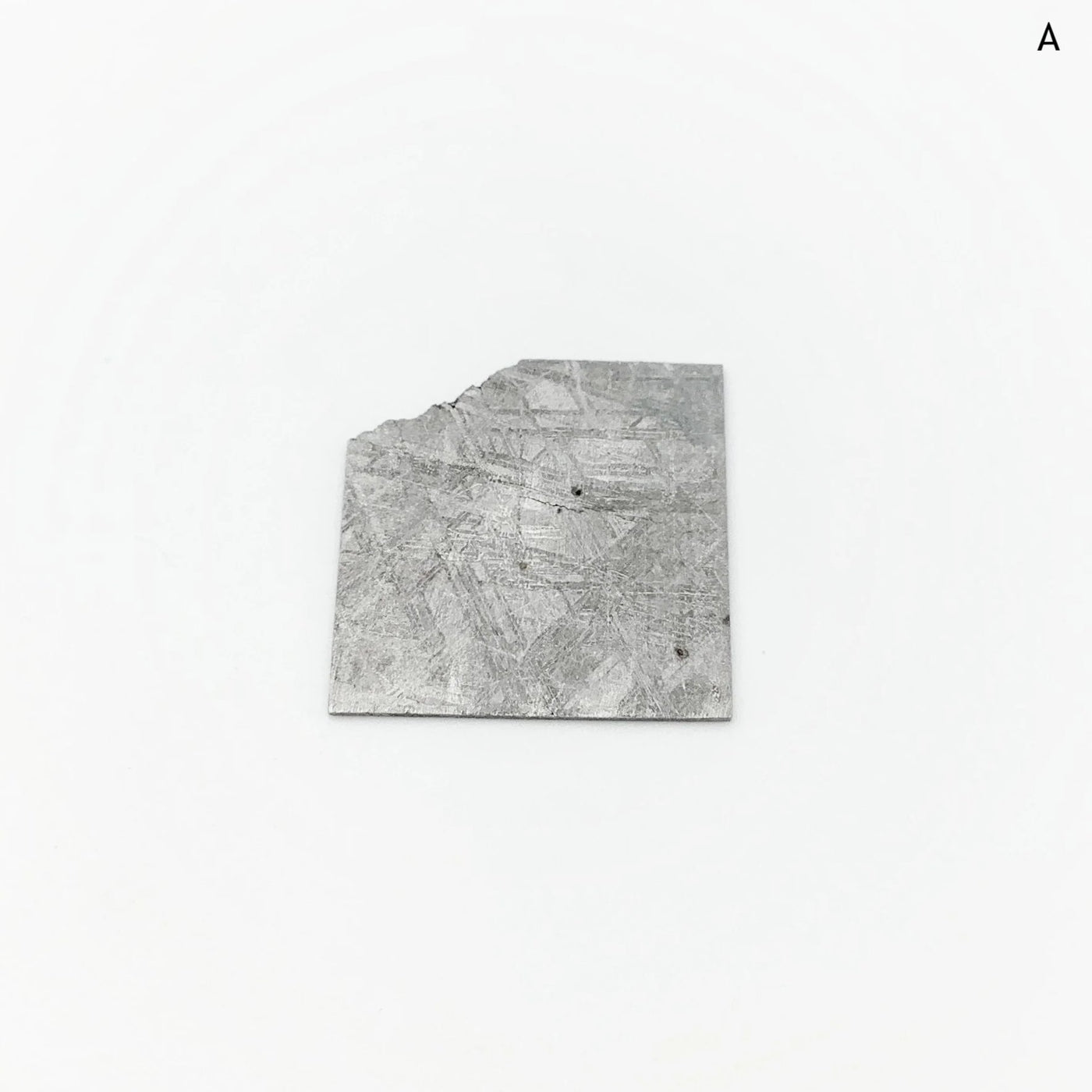 Muonionalusta Meteorite Slice at $115 Each