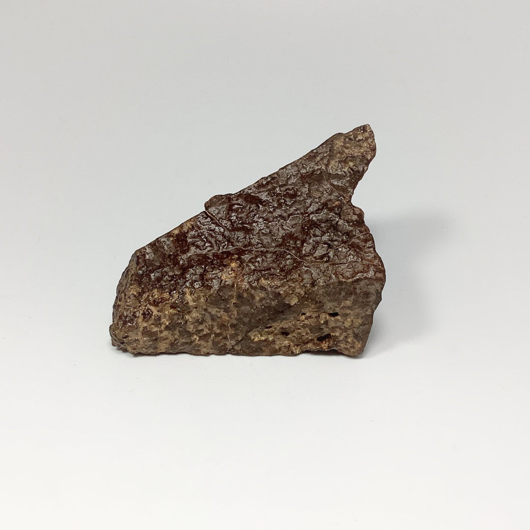 NWA Chondrite Meteorite