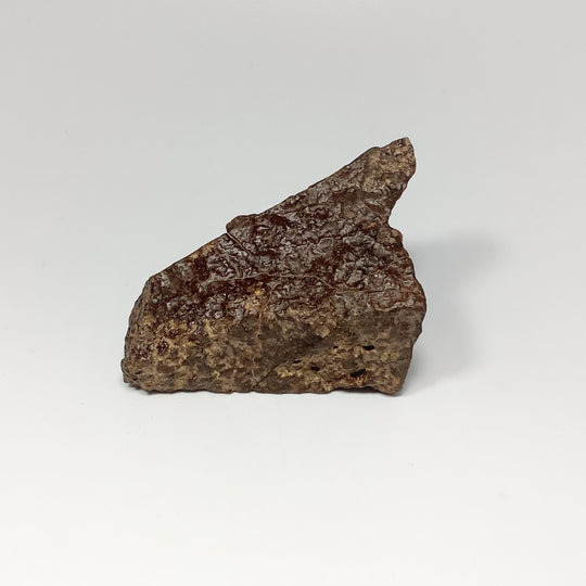 NWA Chondrite Meteorite