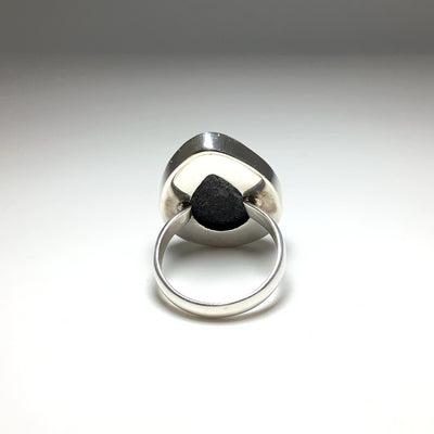 Orthoceras Ring
