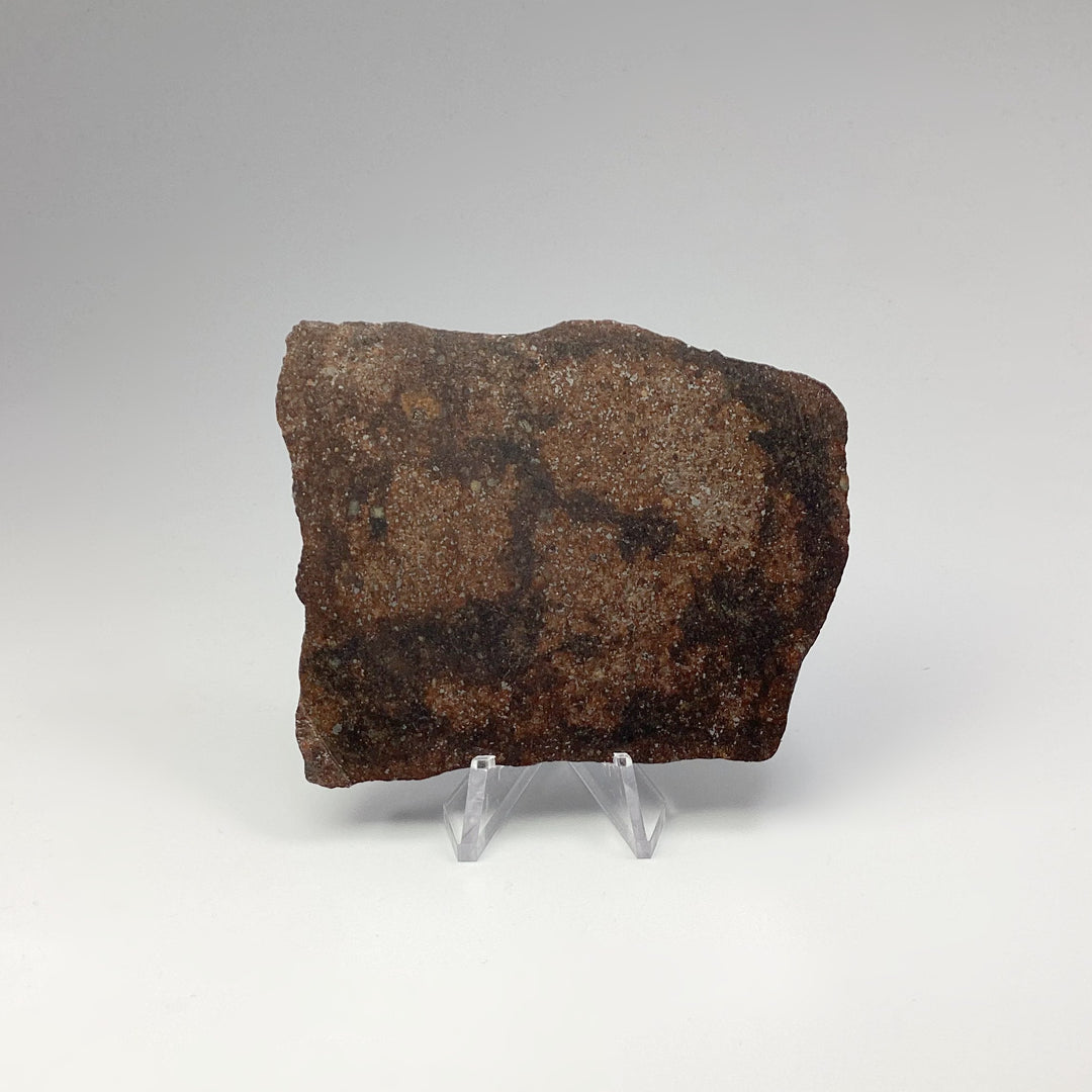 NWA Chondrite Meteorite Slab - Rocks and Gems Canada