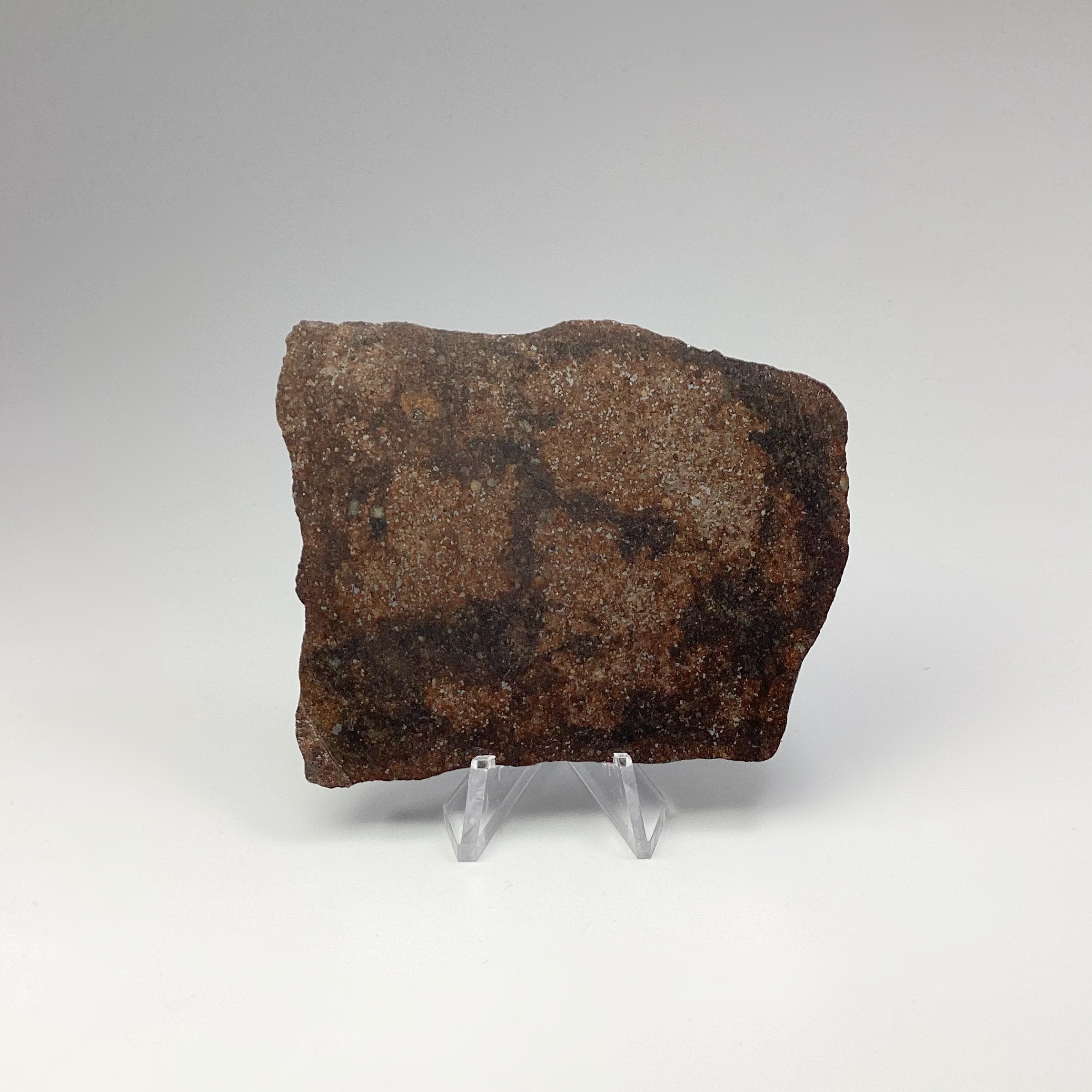 NWA Chondrite Meteorite Slab - Rocks and Gems Canada