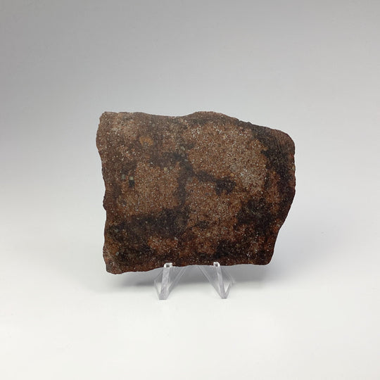 NWA Chondrite Meteorite Slab - Rocks and Gems Canada