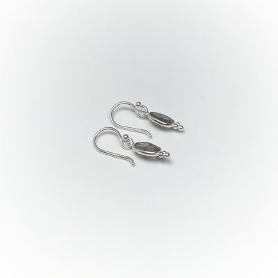 Labradorite Dangle Earrings