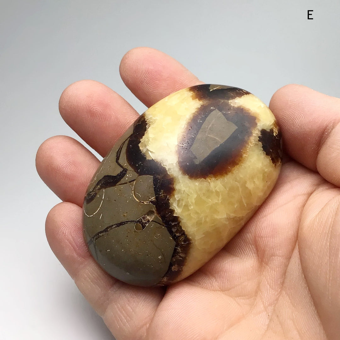 Septarian Tumble - Rocks and Gems Canada