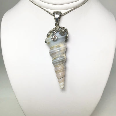 Fossilized Turritella Pendant