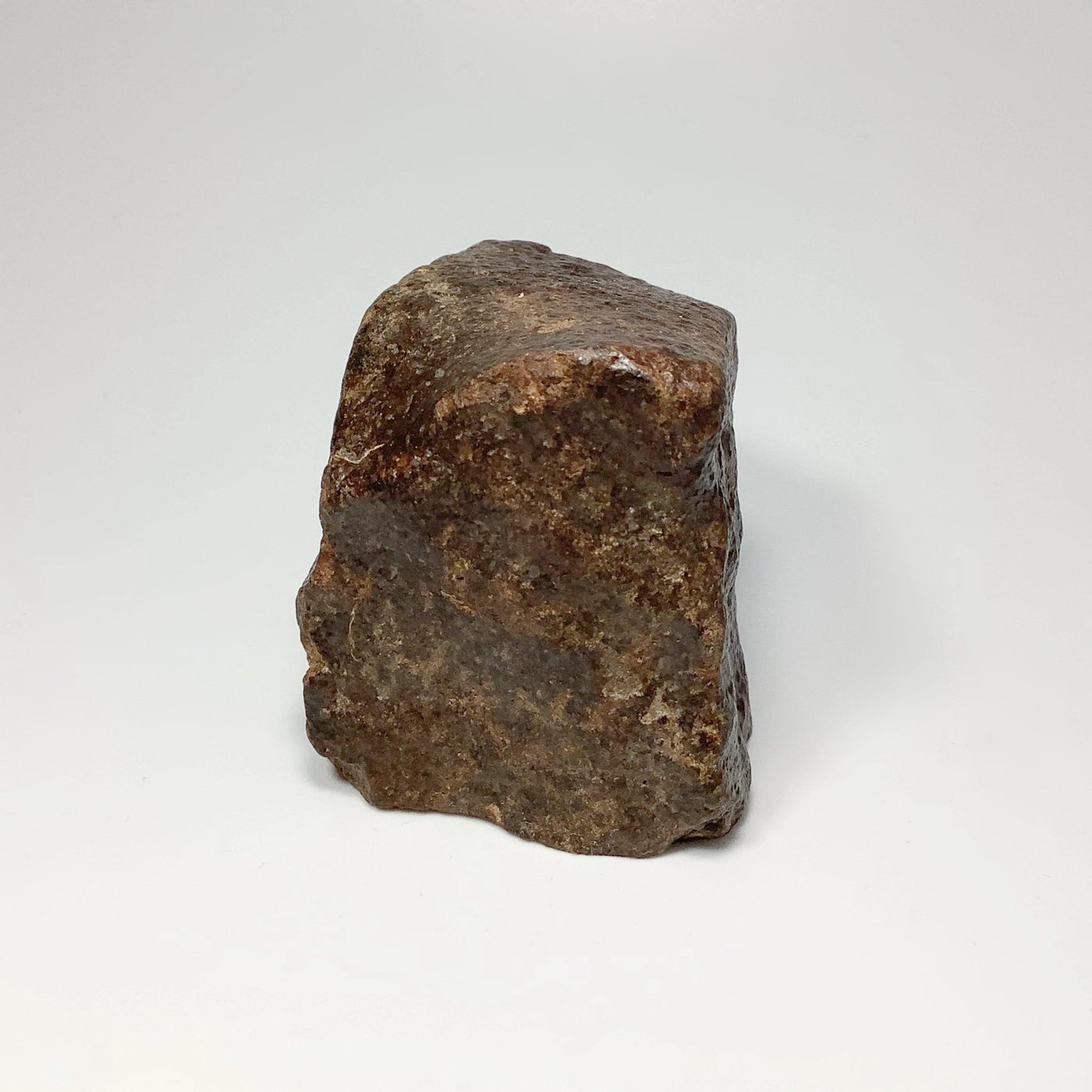 NWA Chondrite Meteorite