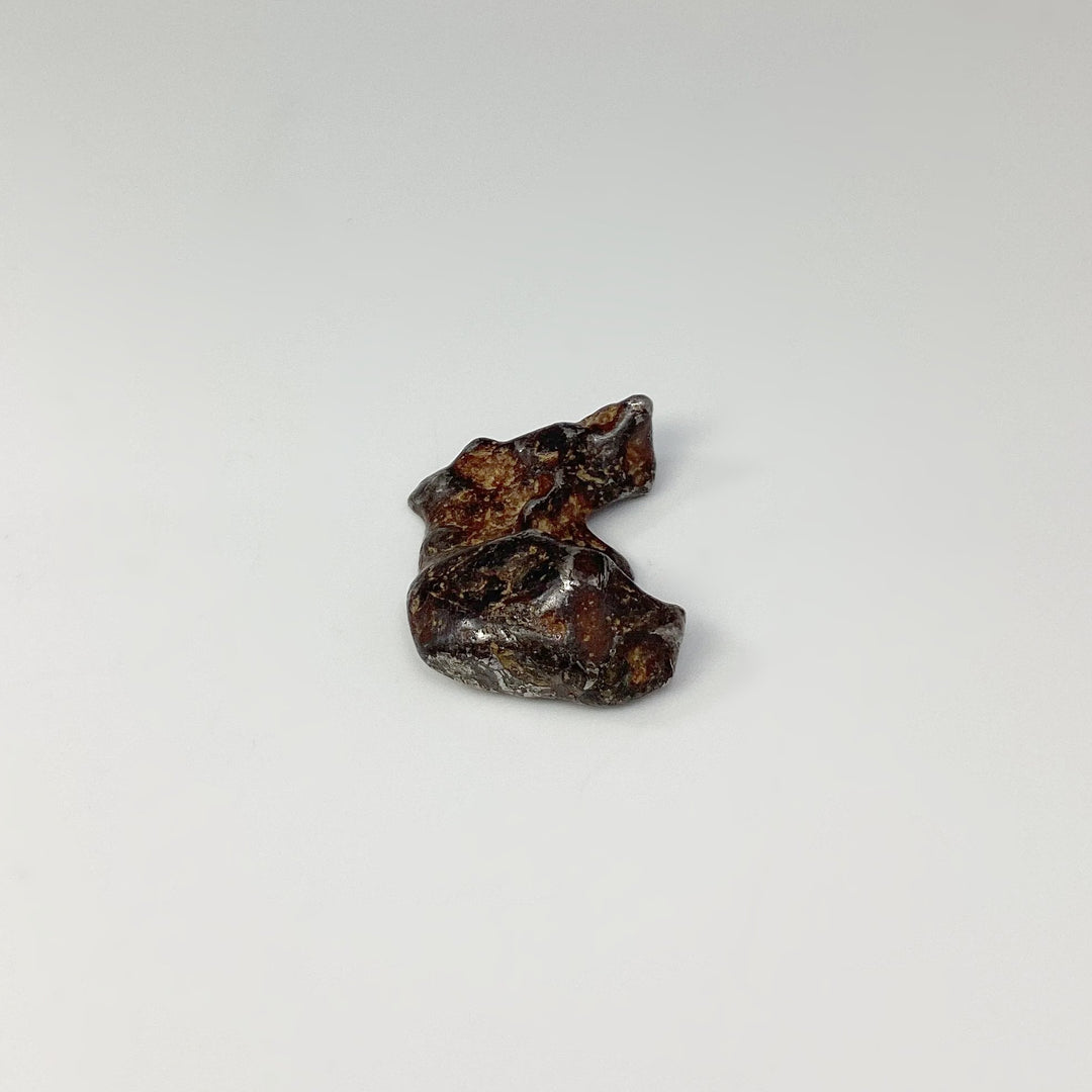 Sericho Meteorite - Rocks and Gems Canada
