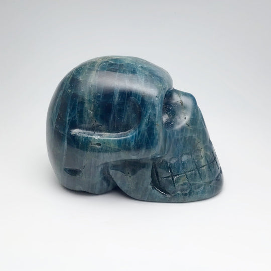 Carved Blue Apatite Skull - Rocks and Gems Canada