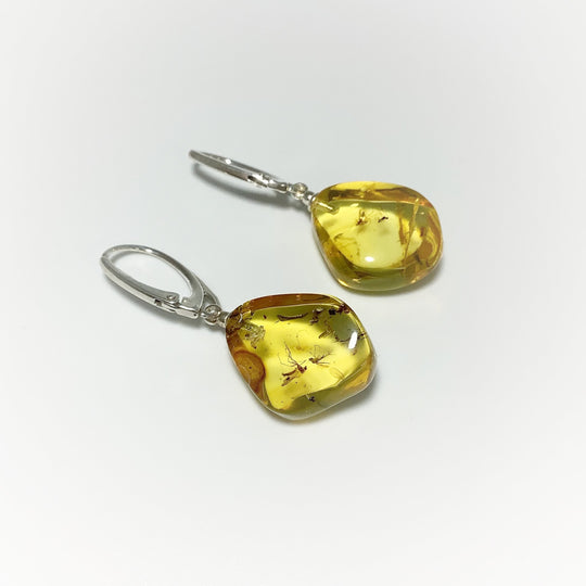 Amber with Preserved Insect Inclusion Dangle Earrings - Rocks and Gems Canada