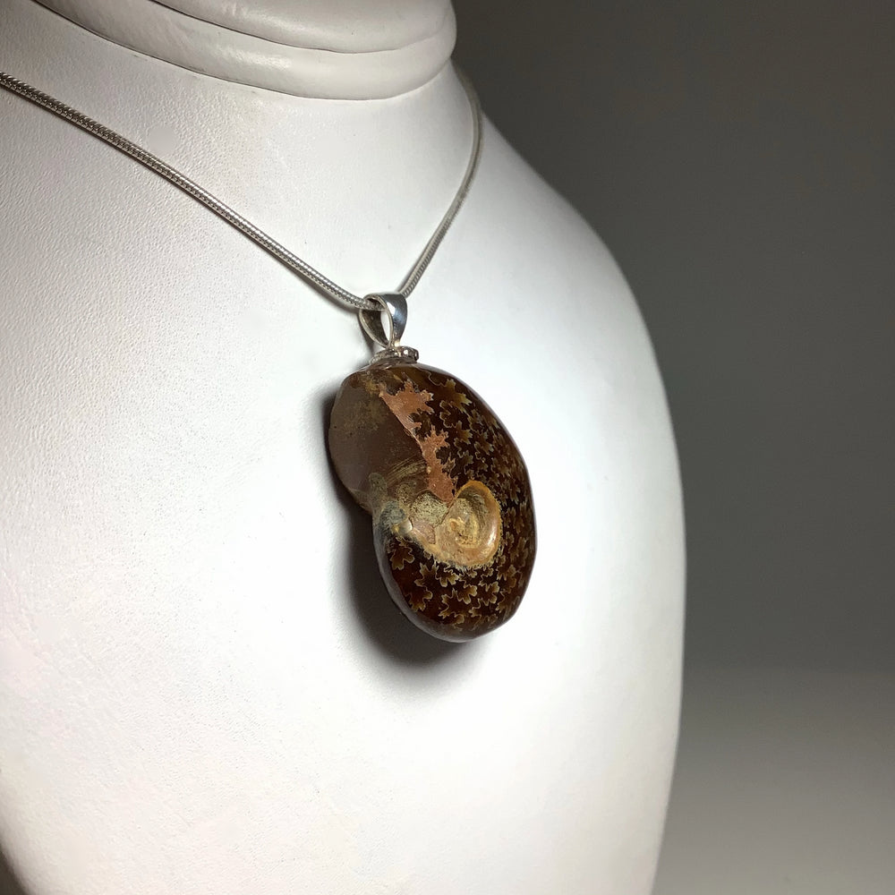 Golden Ammonite Pendant - Rocks and Gems Canada