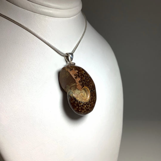 Golden Ammonite Pendant - Rocks and Gems Canada