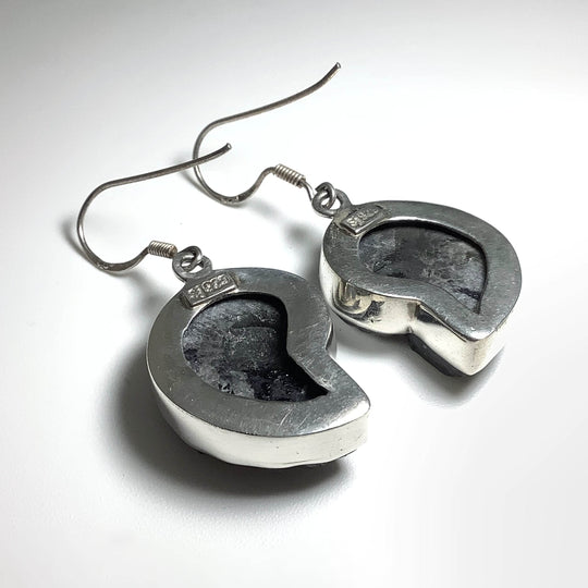 Black Goniatite Ammonite Dangle Earrings - Rocks and Gems Canada