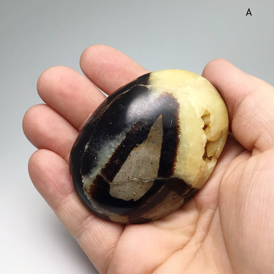 Septarian Tumble - Rocks and Gems Canada