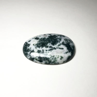 Worry Stone - Tree Agate