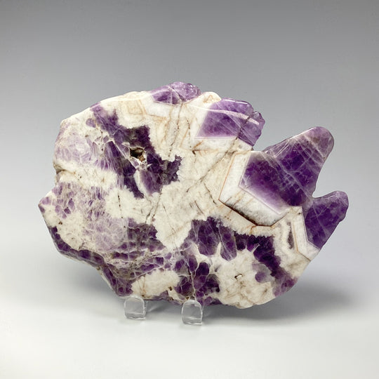 Chevron Amethyst Slice - Rocks and Gems Canada