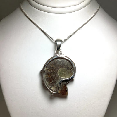 Chambered Ammonite Pendant