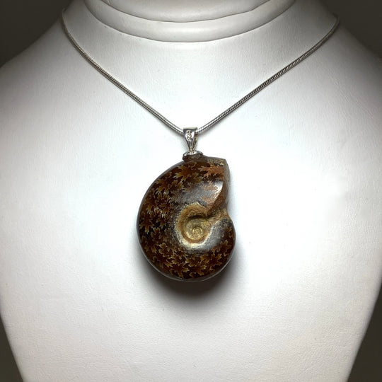 Golden Ammonite Pendant - Rocks and Gems Canada