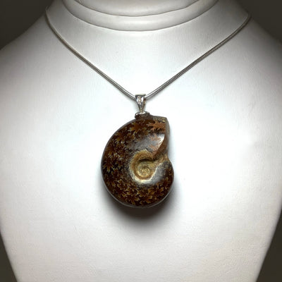 Golden Ammonite Pendant