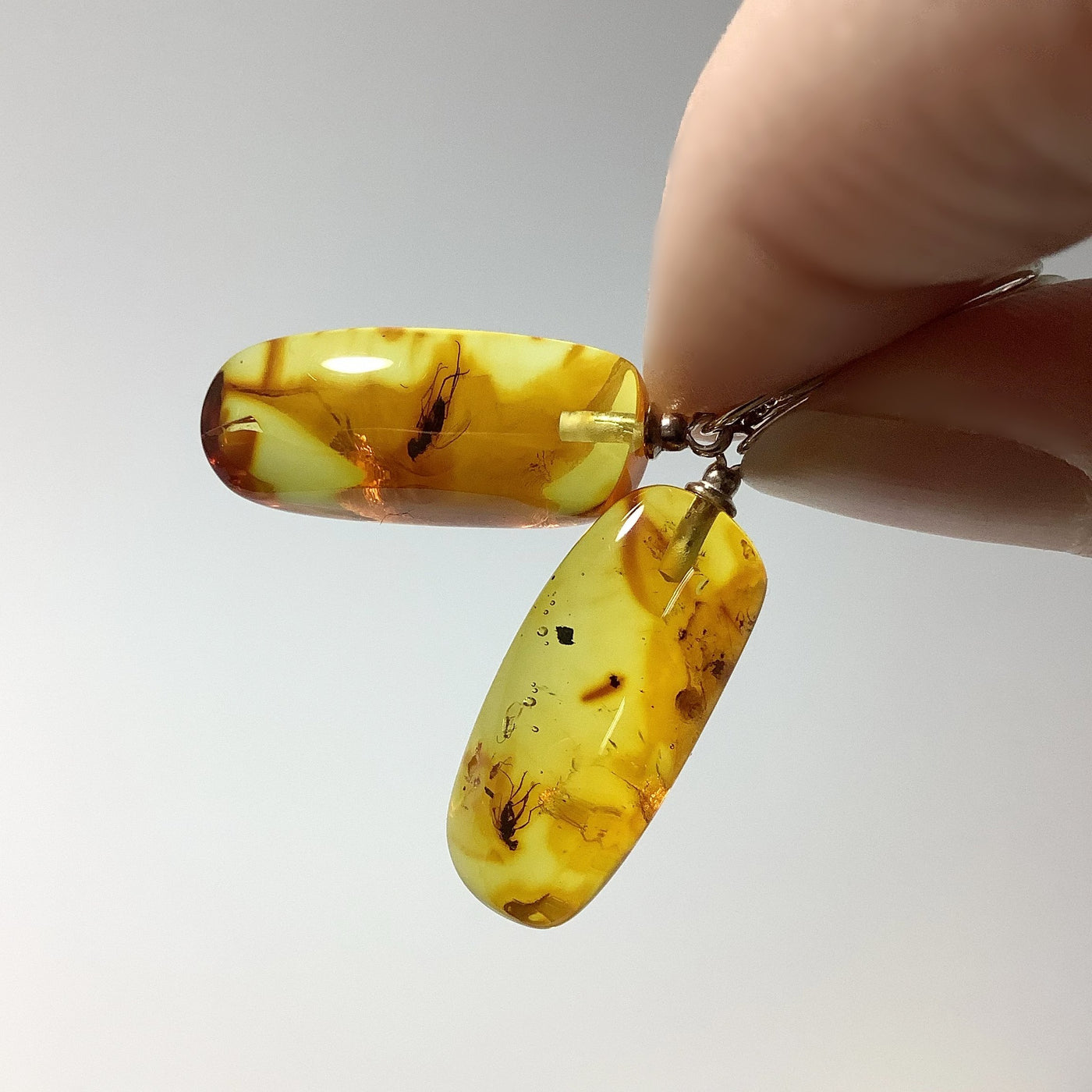 Amber with Preserved Insect Inclusion Dangle Earrings
