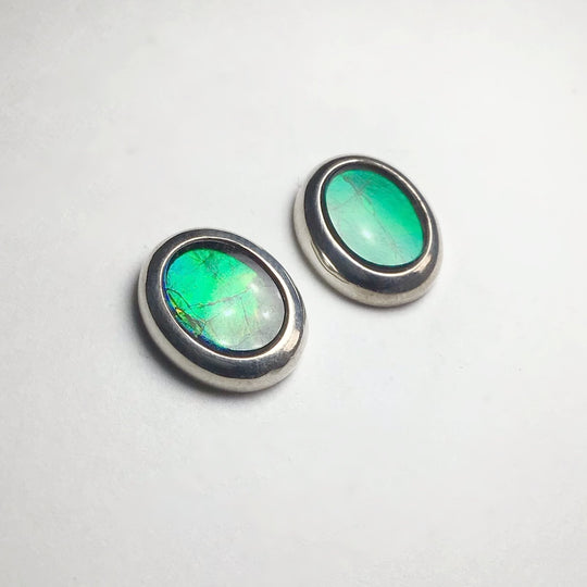 Alberta Ammolite Stud Earrings - Rocks and Gems Canada