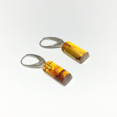 Amber with Preserved Insect Inclusion Dangle Earrings