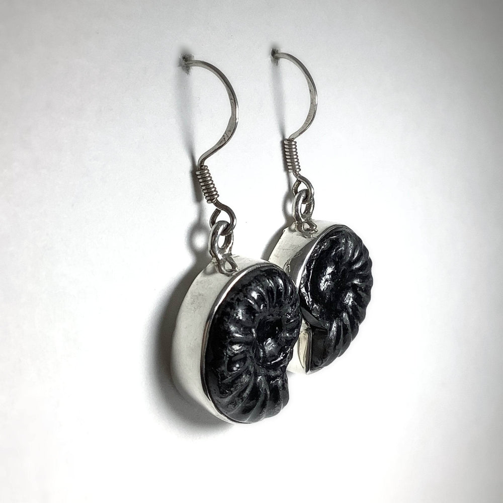Black Goniatite Ammonite Dangle Earrings - Rocks and Gems Canada