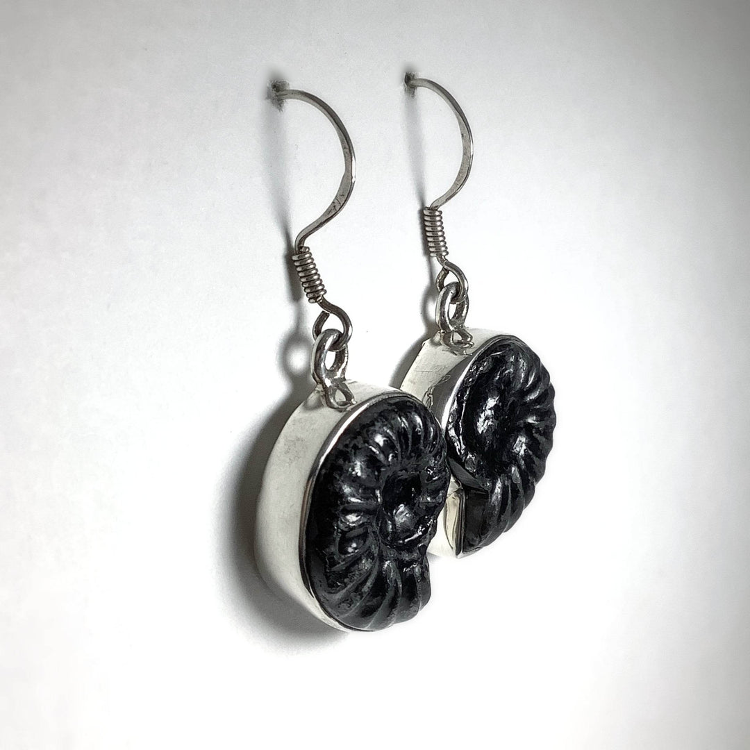 Black Goniatite Ammonite Dangle Earrings - Rocks and Gems Canada
