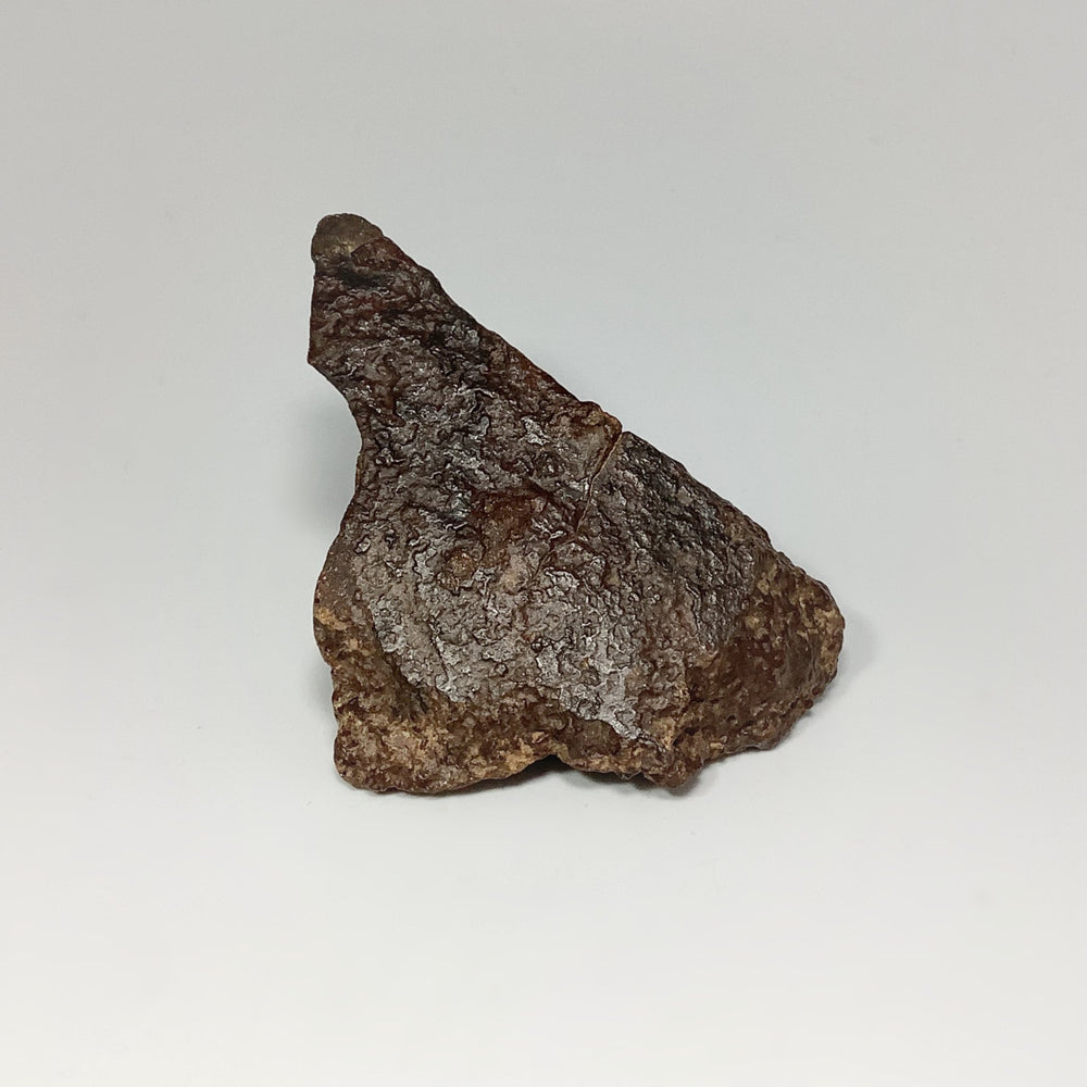 NWA Chondrite Meteorite - Rocks and Gems Canada