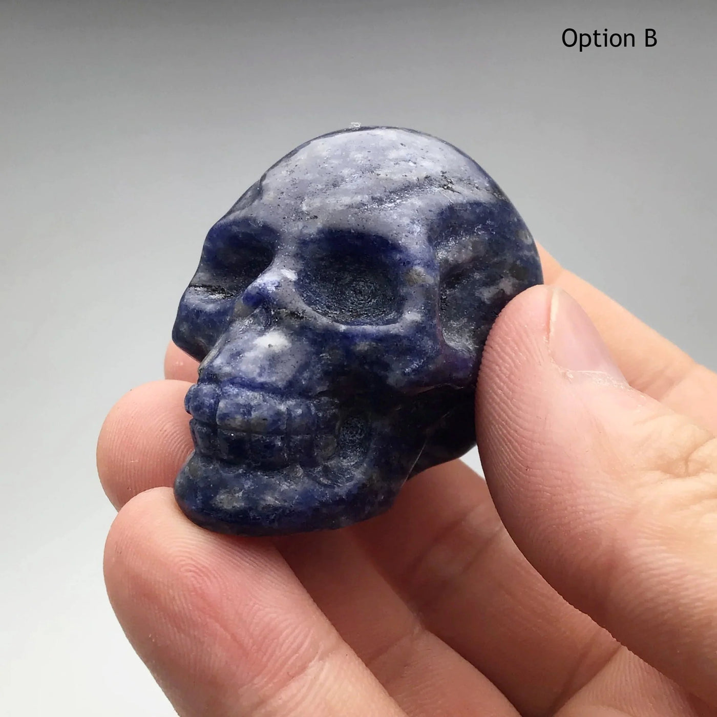 Carved Sodalite Skull at $69 Each