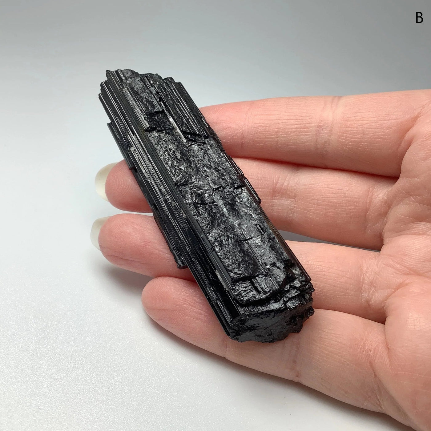 Black Tourmaline at $55 Each