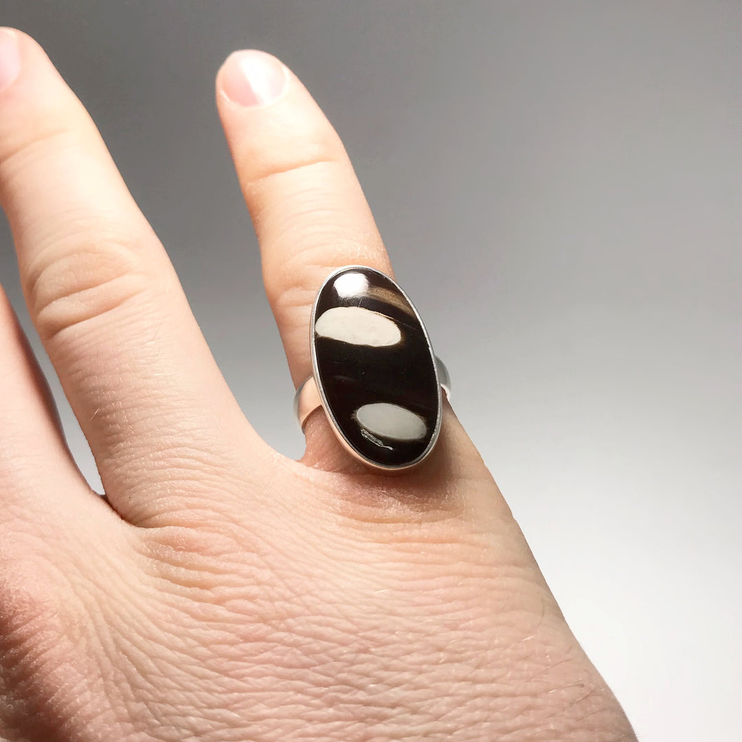 Petrified Peanut Wood Ring - Rocks and Gems Canada
