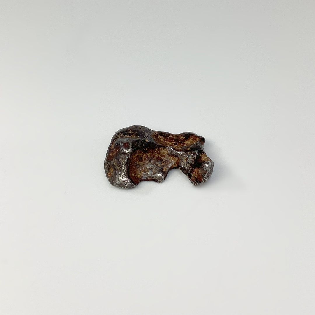 Sericho Meteorite - Rocks and Gems Canada