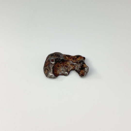 Sericho Meteorite - Rocks and Gems Canada
