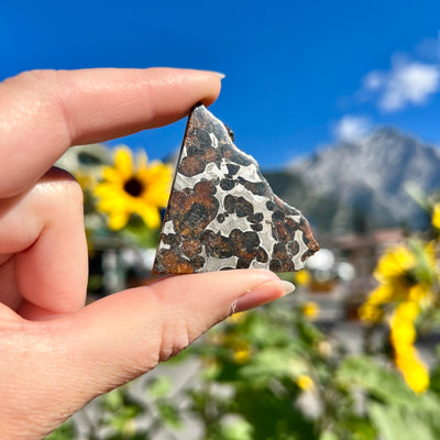 Sericho Meteorite Slice