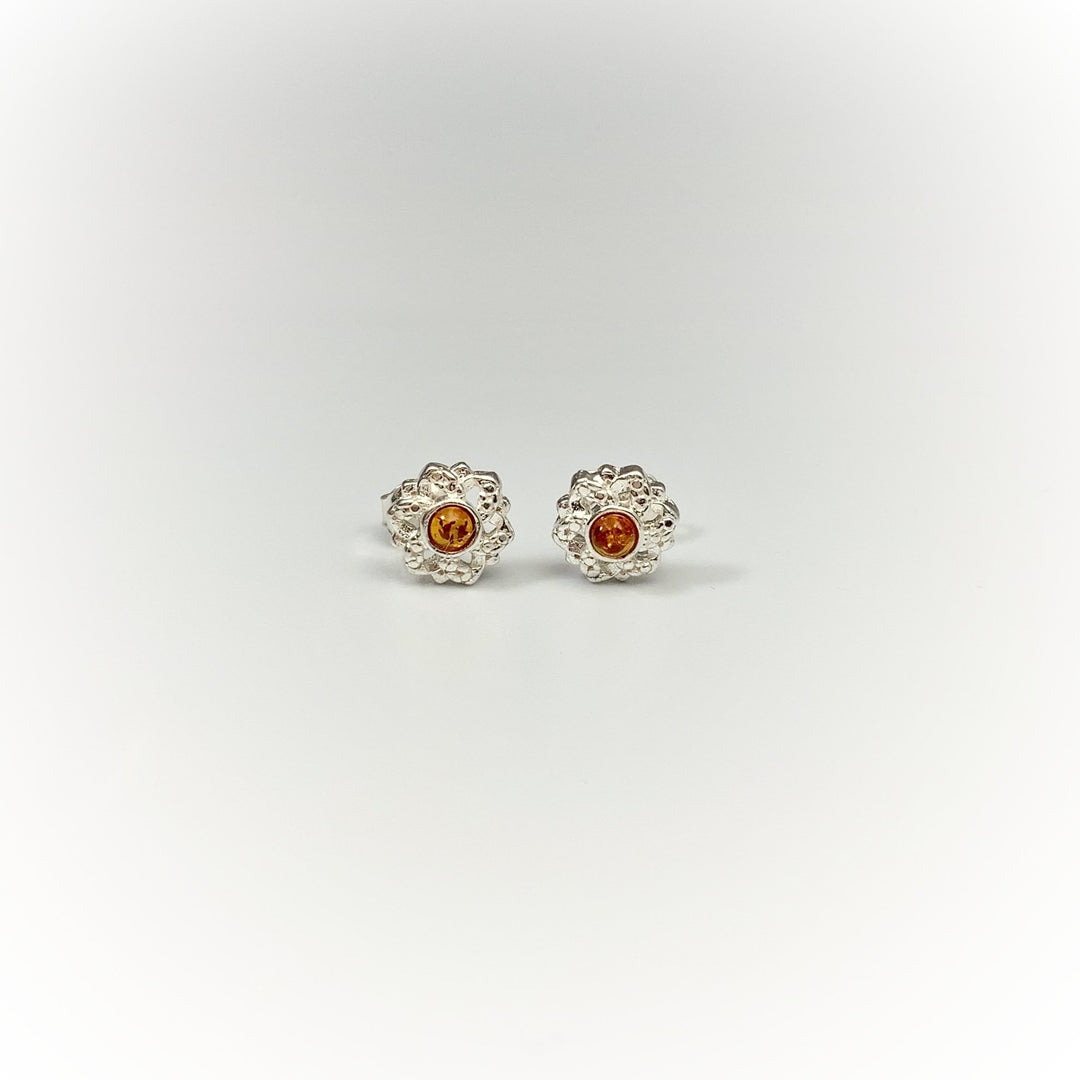 Cognac Amber Stud Earrings - Rocks and Gems Canada