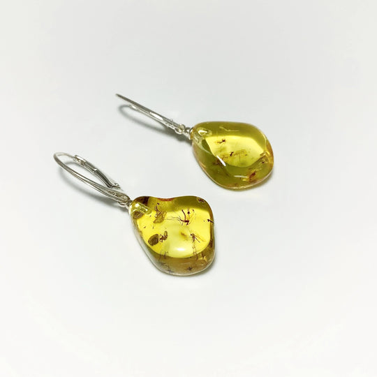 Amber with Preserved Insect Inclusion Dangle Earrings - Rocks and Gems Canada