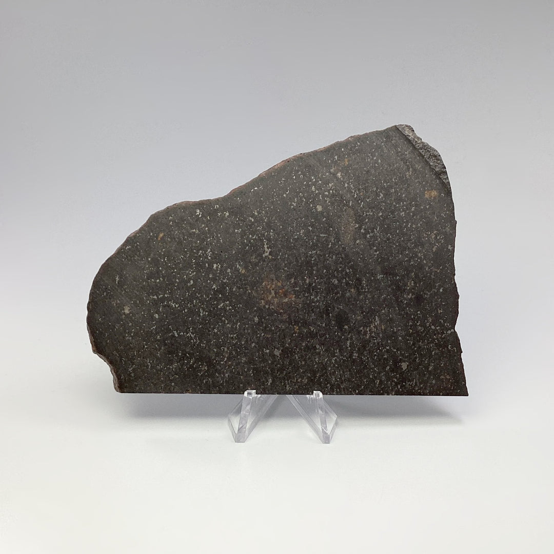NWA Chondrite Meteorite Slab - Rocks and Gems Canada