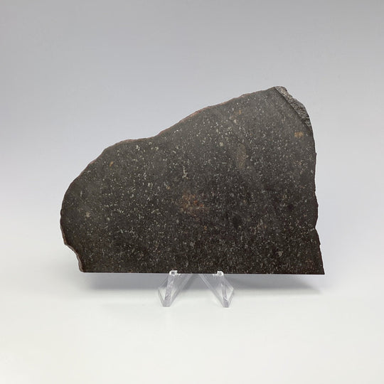 NWA Chondrite Meteorite Slab - Rocks and Gems Canada