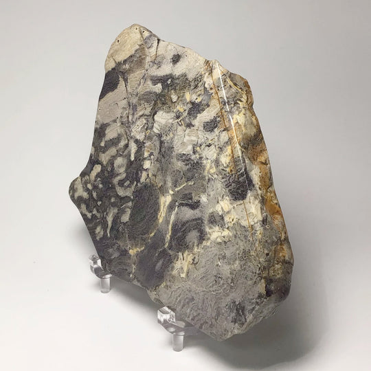 Silver Leaf Jasper Slice - Rocks and Gems Canada
