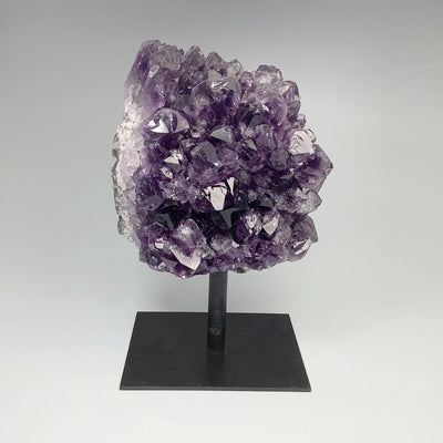 Amethyst Druze Cluster on Stand