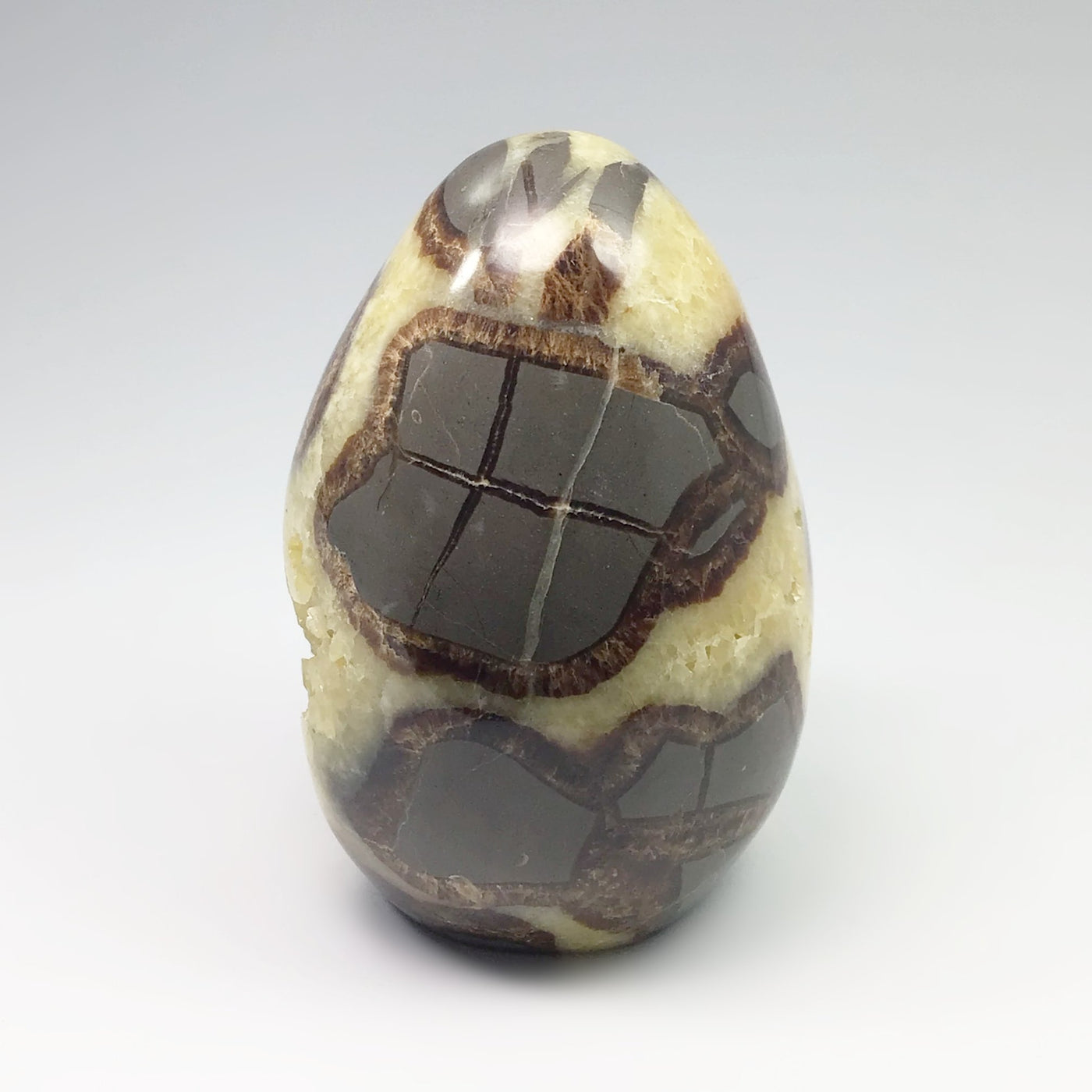 Septarian Egg Stand Up Piece