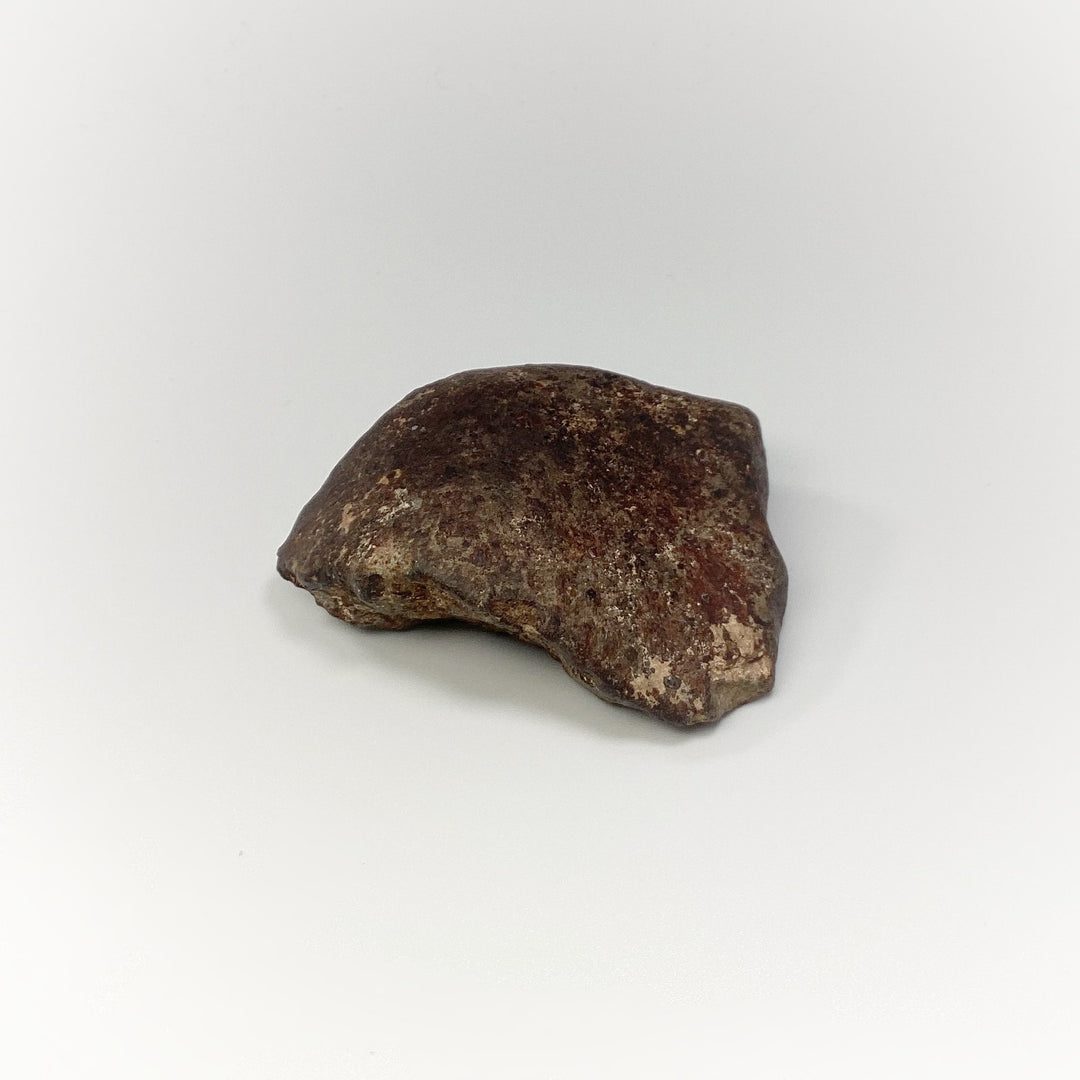 NWA Chondrite Meteorite Specimen - Rocks and Gems Canada