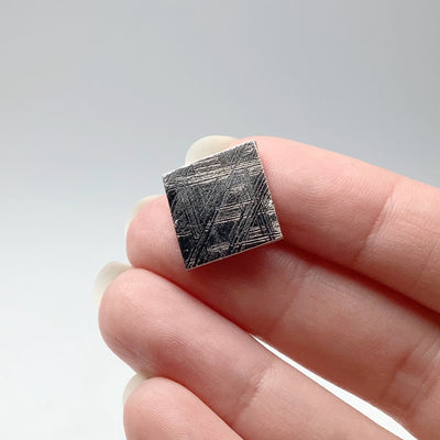 Muonionalusta Meteorite Slice at $85 Each