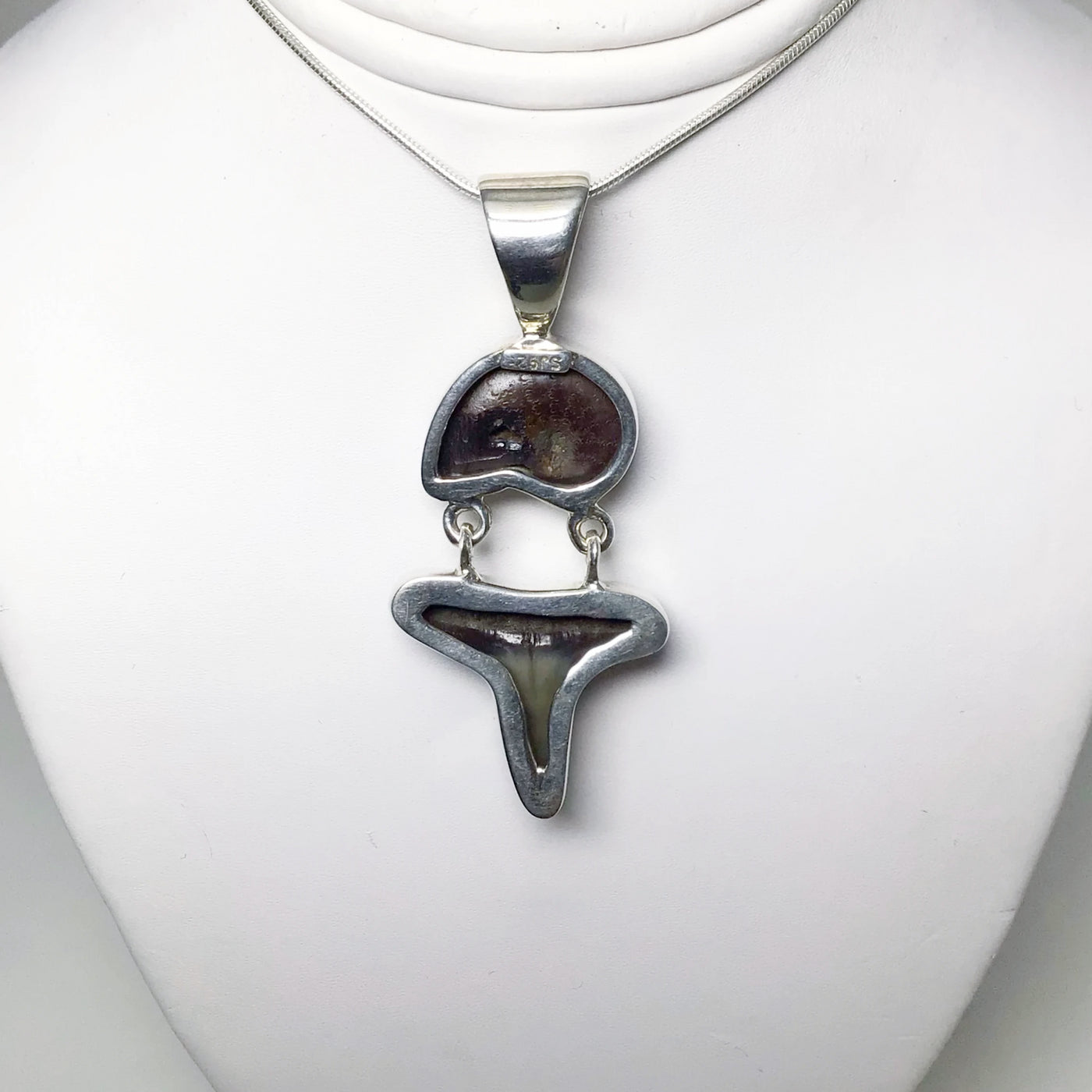 Fossilized Shark Tooth with Ammonite Pendant